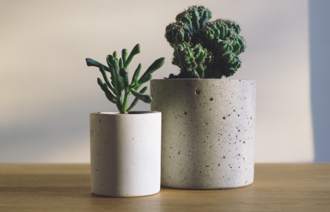 Горшки для цветов как элемент декора: советы по оформлению интерьера