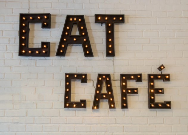 какой материал лучше для вывески